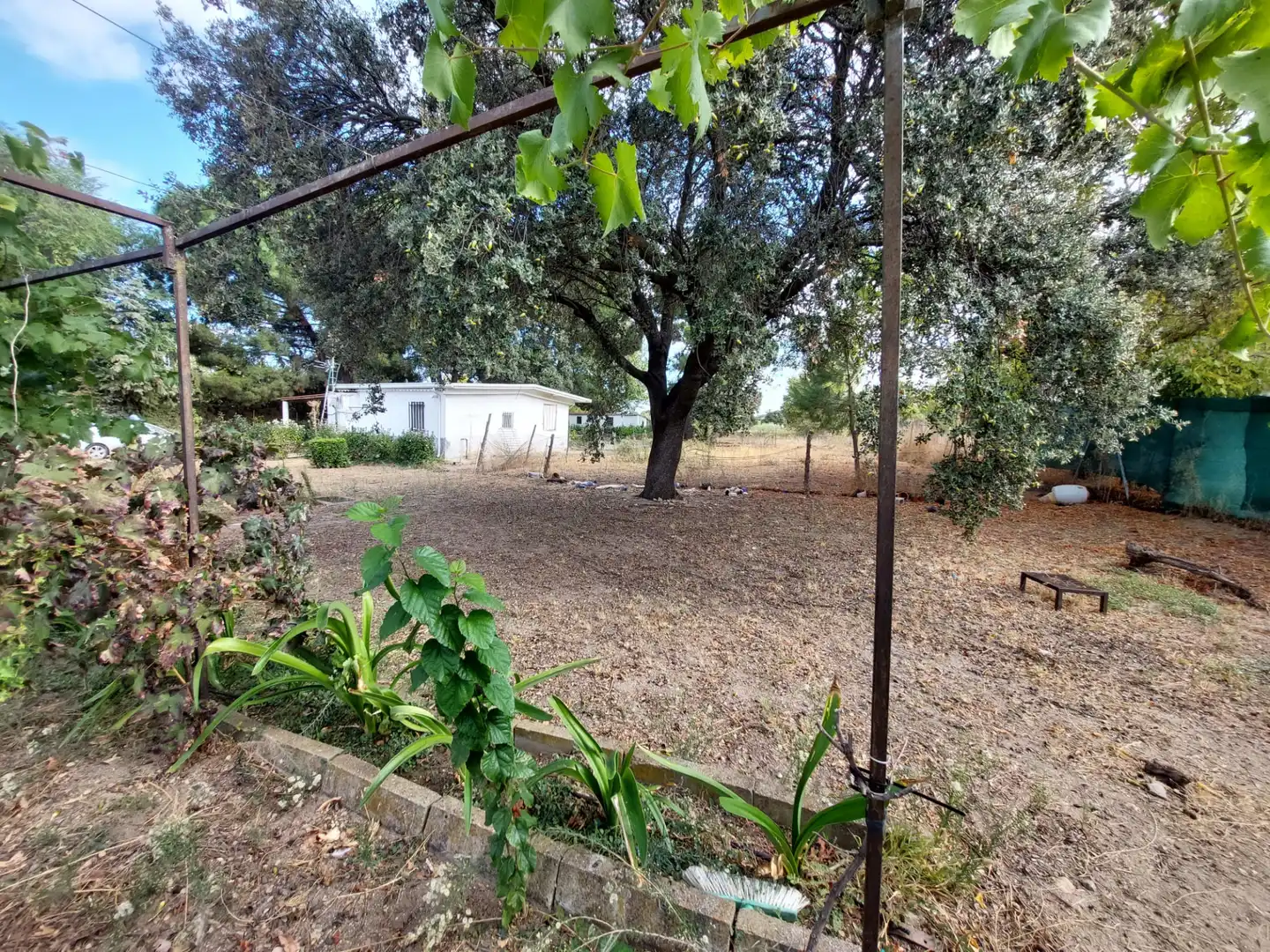 Terreni e lotti in vendita a Santa Cruz del Retamar pueblo, imagen 5