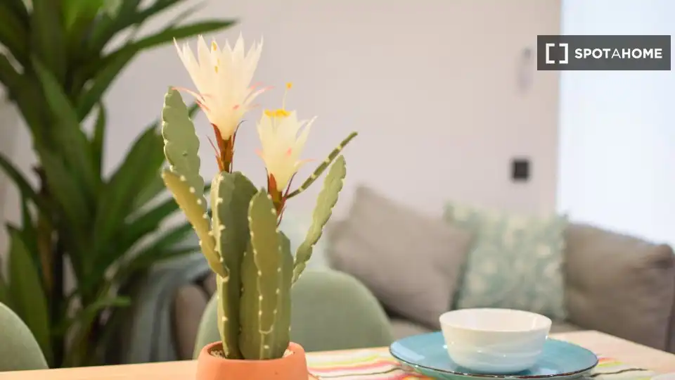 Jardí de Apartament per a compartir en Barcelona amb Aire condicionat, Terrassa i Moblat