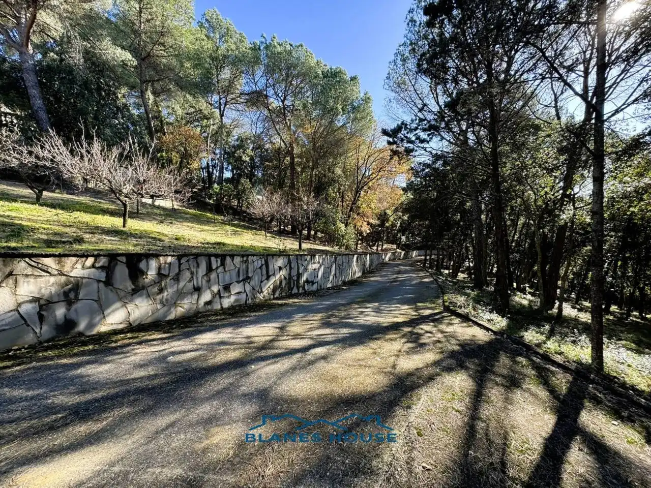 Vista exterior de Finca rústica en venda en Sant Feliu de Buixalleu amb Calefacció, Jardí privat i Terrassa