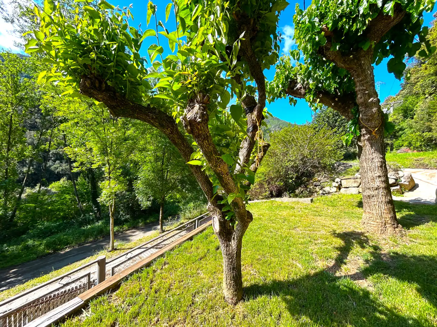 Jardín de Casa o chalet en venta en Osor con Calefacción, Jardín privado y Terraza