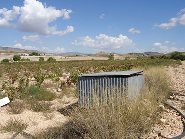 Terreno rustico in vendita a Jumilla