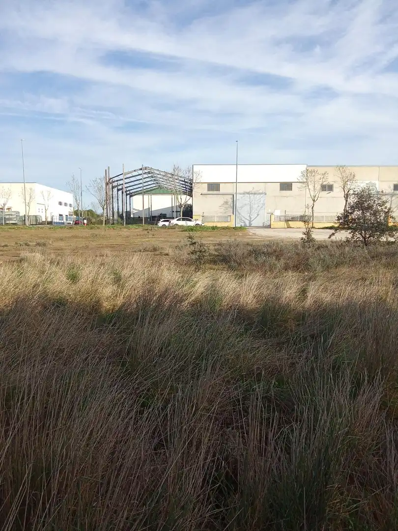 Terrenos y solares en venta en Malpartida de Cáceres, imagen 2