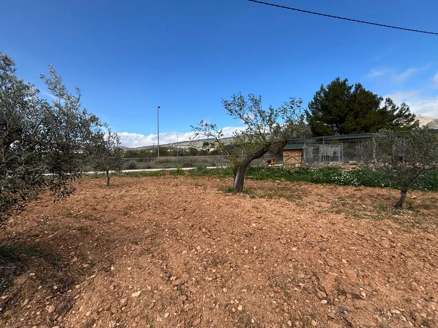 Terreno rústico en venta en CV-806, imagen 9
