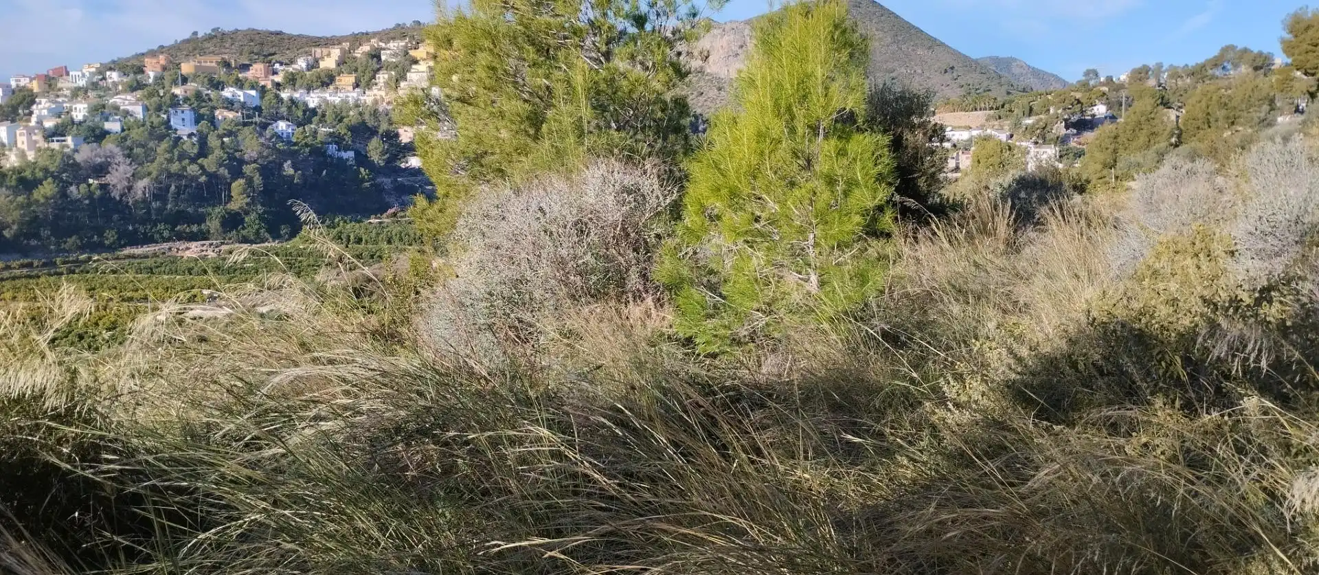 Terreny rústic en venda a L'Atzúbia, imagen 3