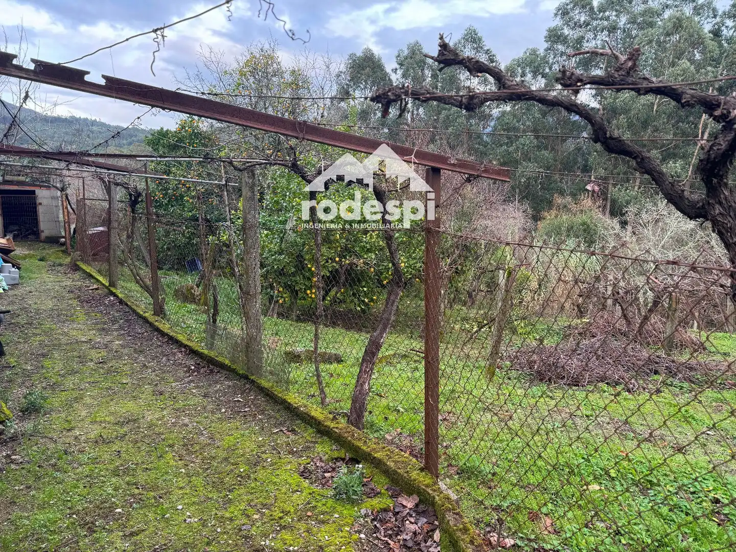 Casa o chalet en venta en Arbo
