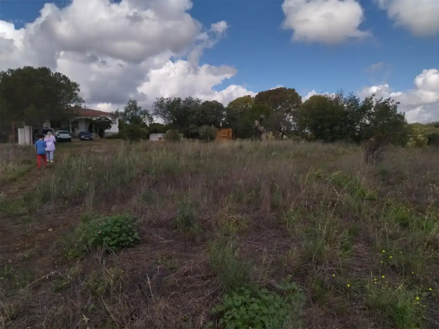 Finca rústica en venda en Alcaracejos