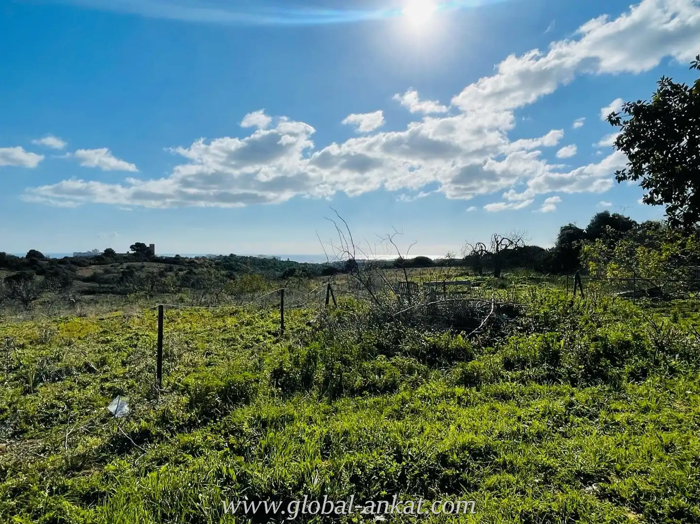 Finca rústica en venta en Manacor