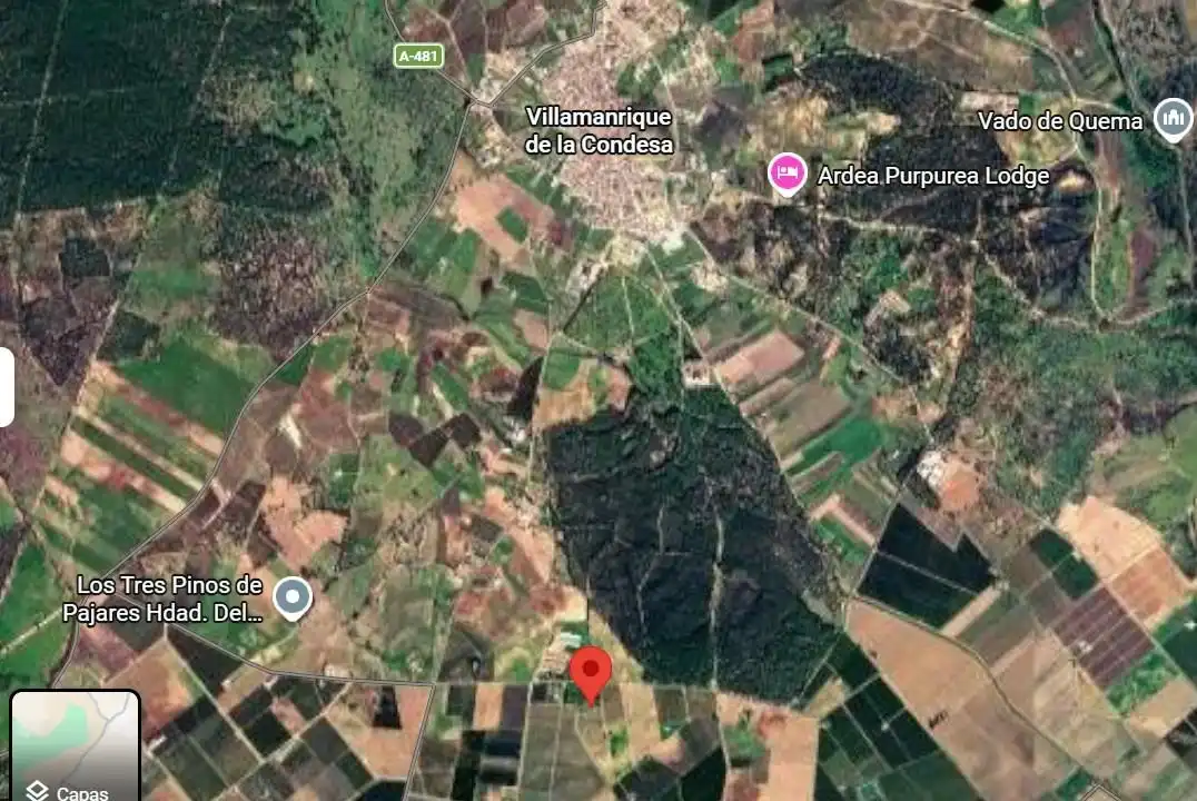 Terreni e lotti in vendita a Polígono Polígono 14 Paraje 87 LOS MONTES, imagen 34