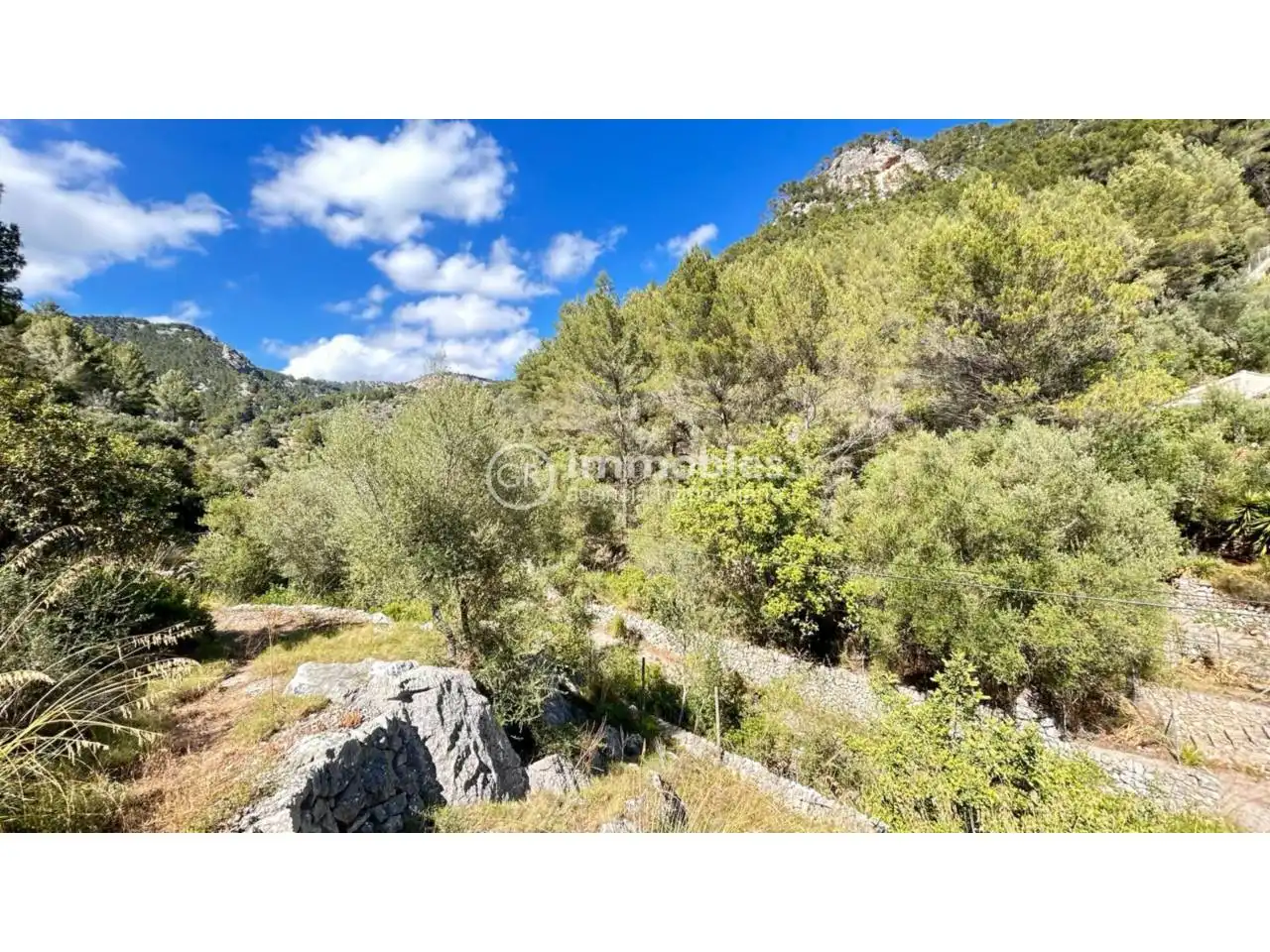 Country homes for sale in Alaró