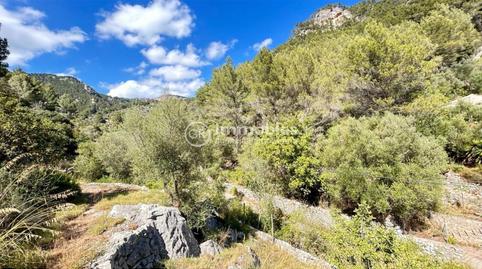 Foto 4 de Finca rústica en venta en Alaró, Illes Balears