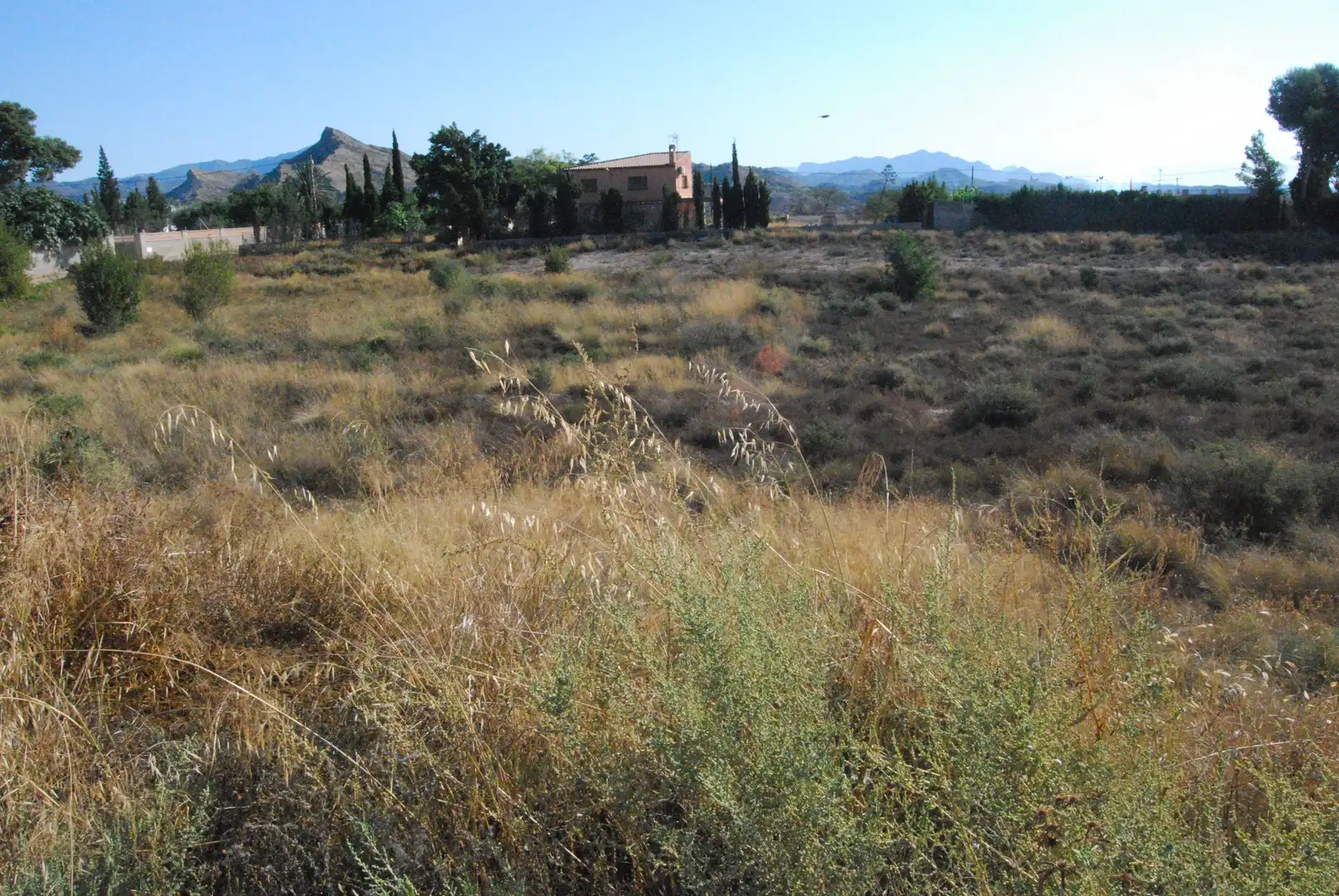 Terrain résidentiel à vendre à Agost, imagen 12
