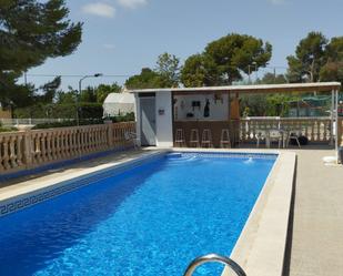 Swimming pool of Land for sale in Torre-Pacheco