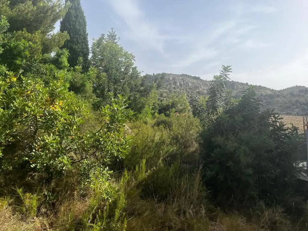 Casa o xalet en venda en Castellón de la Plana / Castelló de la Plana amb Terrassa