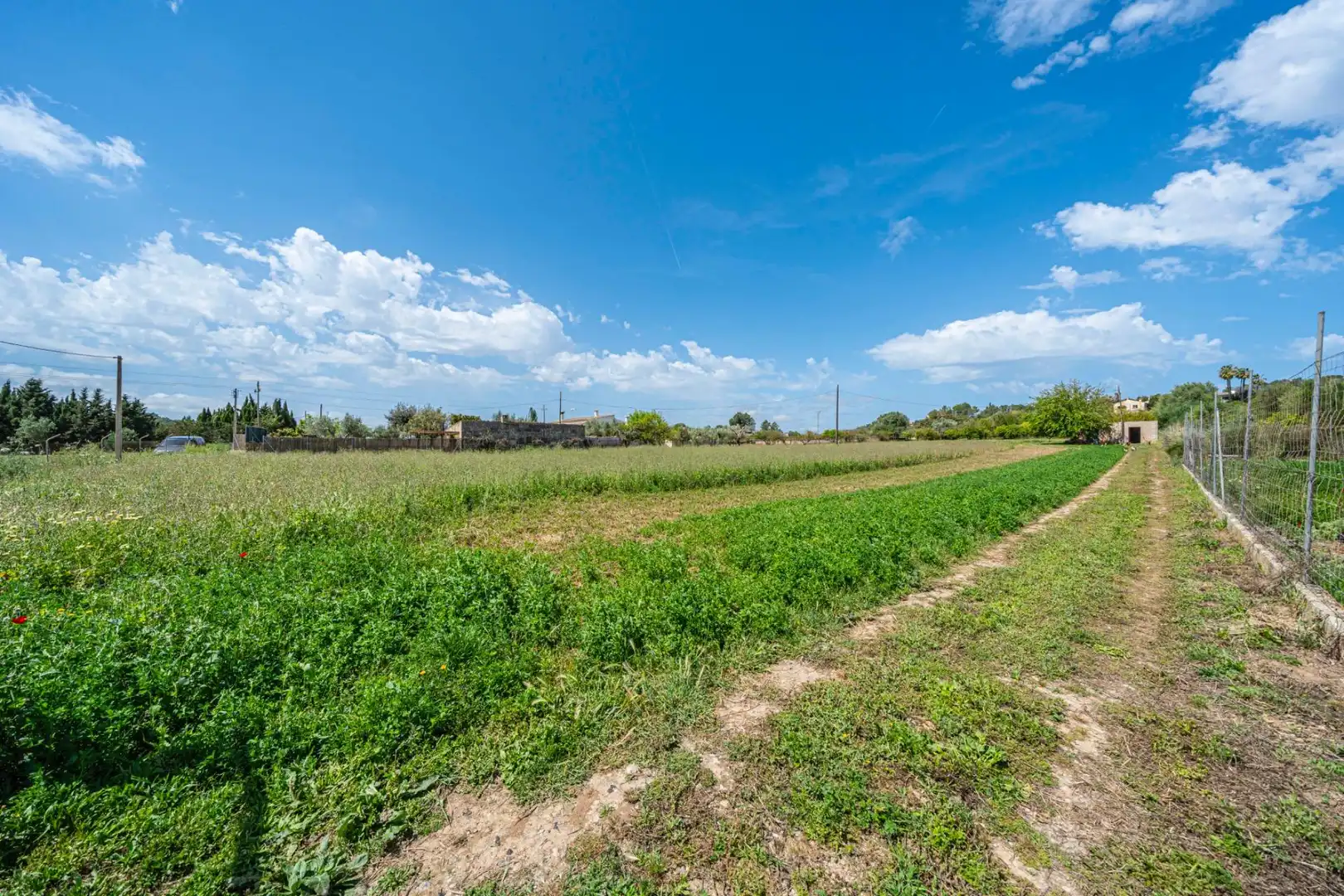 Rural land for sale in Santa Margalida Poble, imagen 10