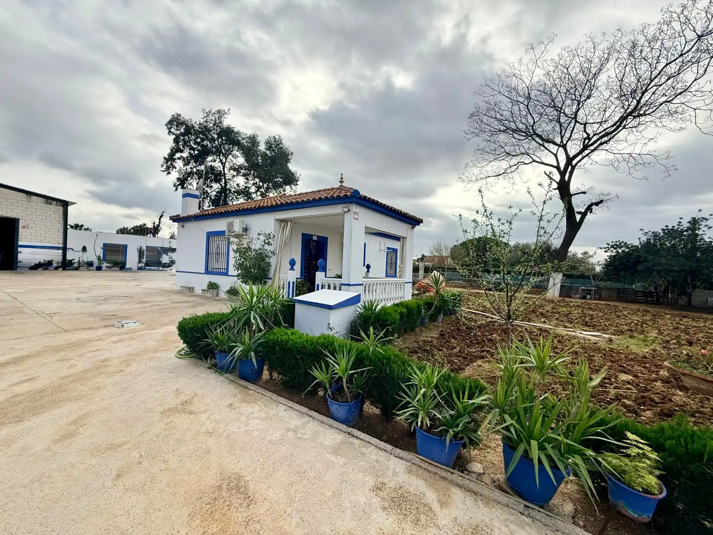 Vista exterior de Casa o chalet en venta en Carmona con Aire acondicionado, Jardín privado y Trastero