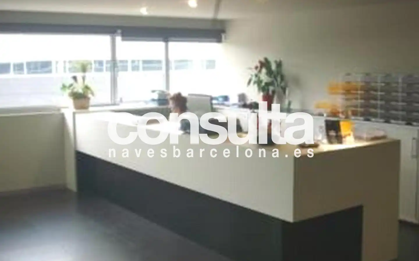 Nau industrial amb ascensor de lloguer a Carrer de la Física 17, imagen 18