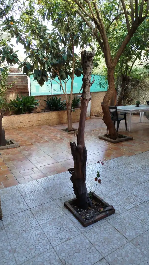 Terrasse von Wohnungen zur Miete in Málaga mit Klimaanlage, Heizung und Möbliert
