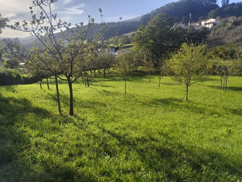 Residential for sale in Proaza, Asturias