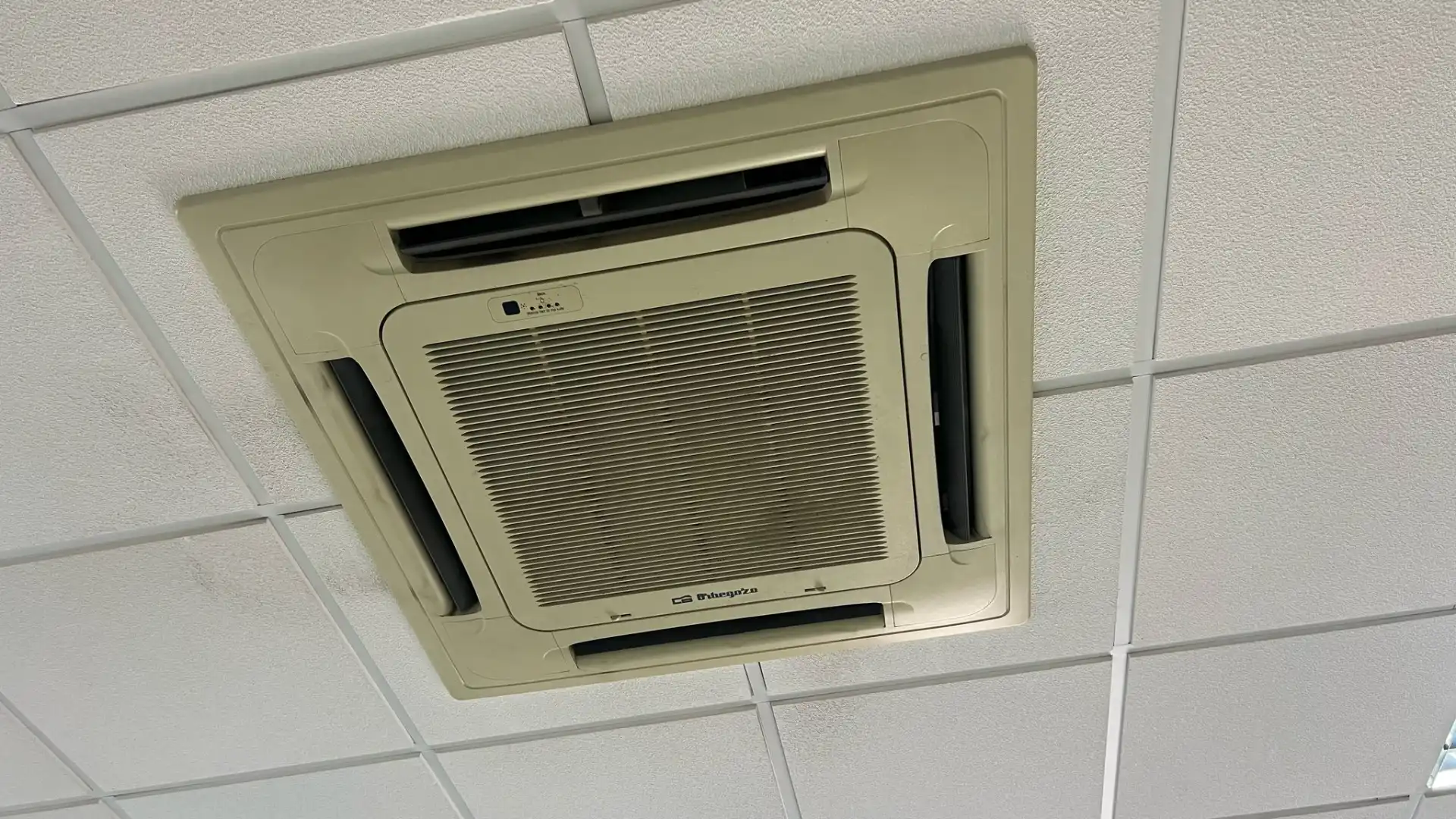Local en venda en Níjar amb Aire condicionat, Moblat i Alarma