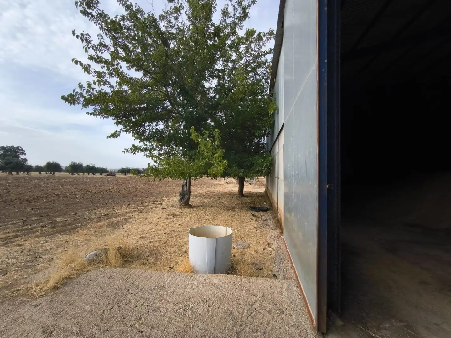 Vista exterior de Finca rústica en venda en El Viso de San Juan