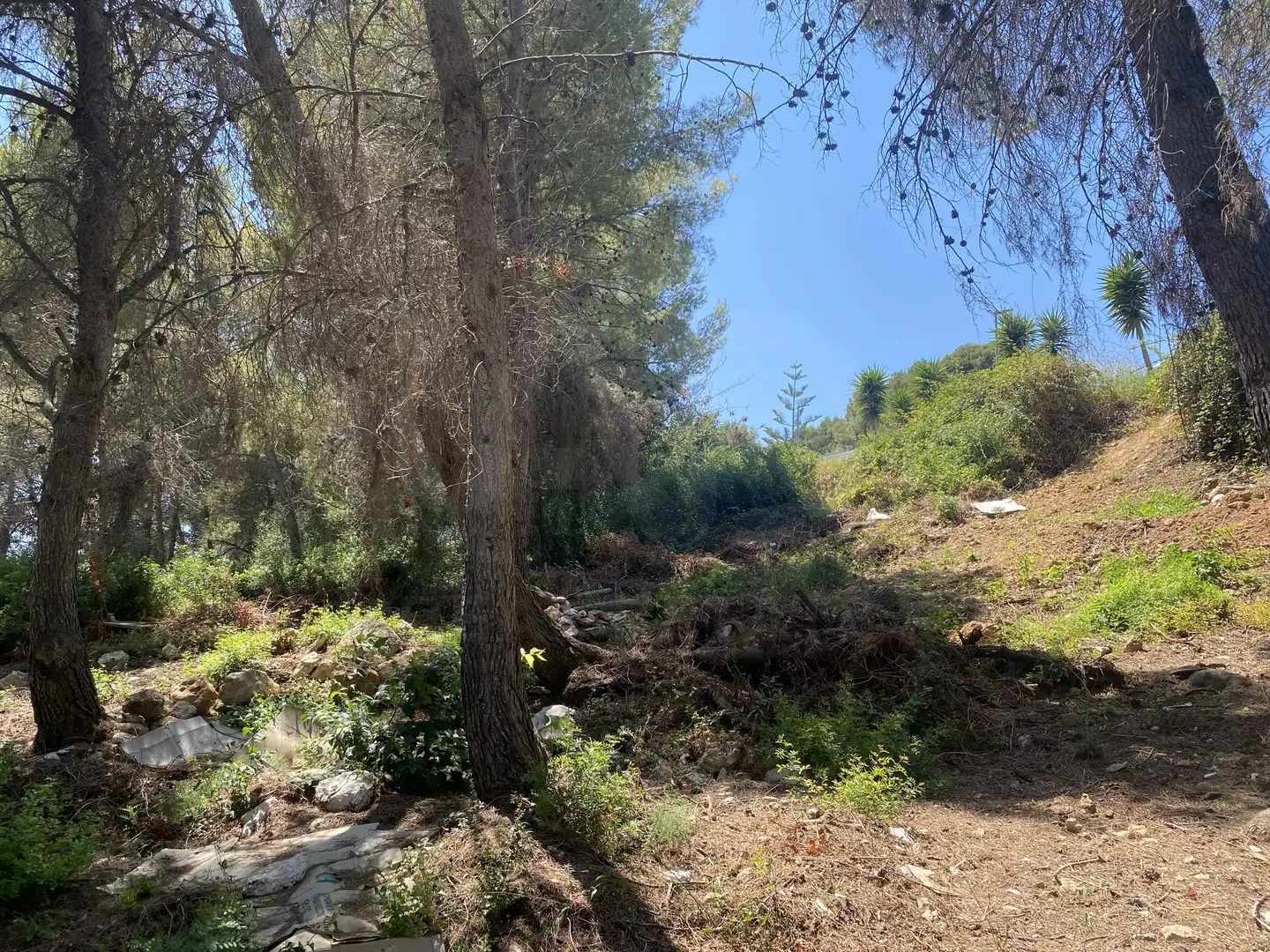 Residential land for sale in Urbanitzacions de Llevant, imagen 17