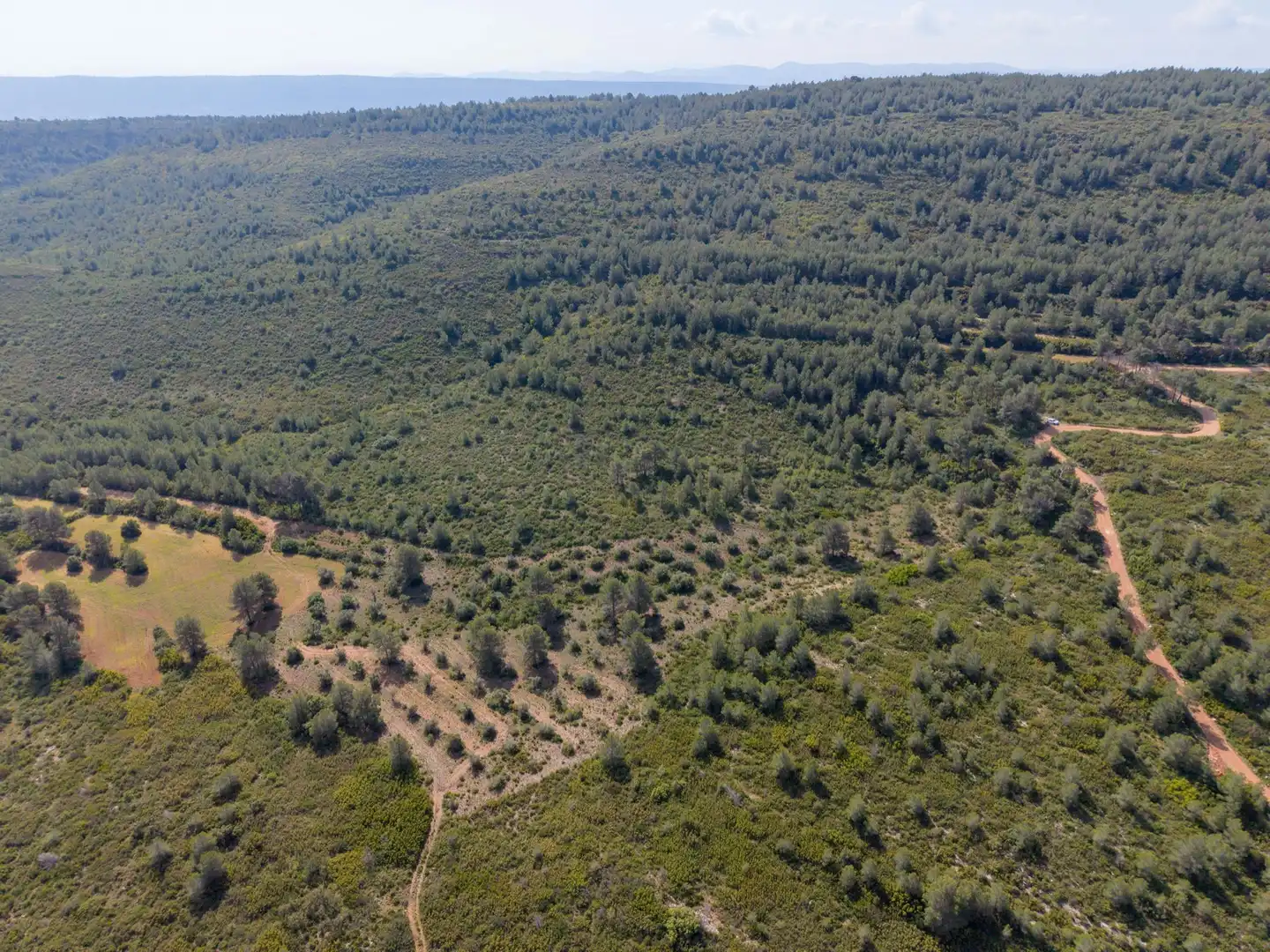 Maison rustique à vendre à Enguera, imagen 4
