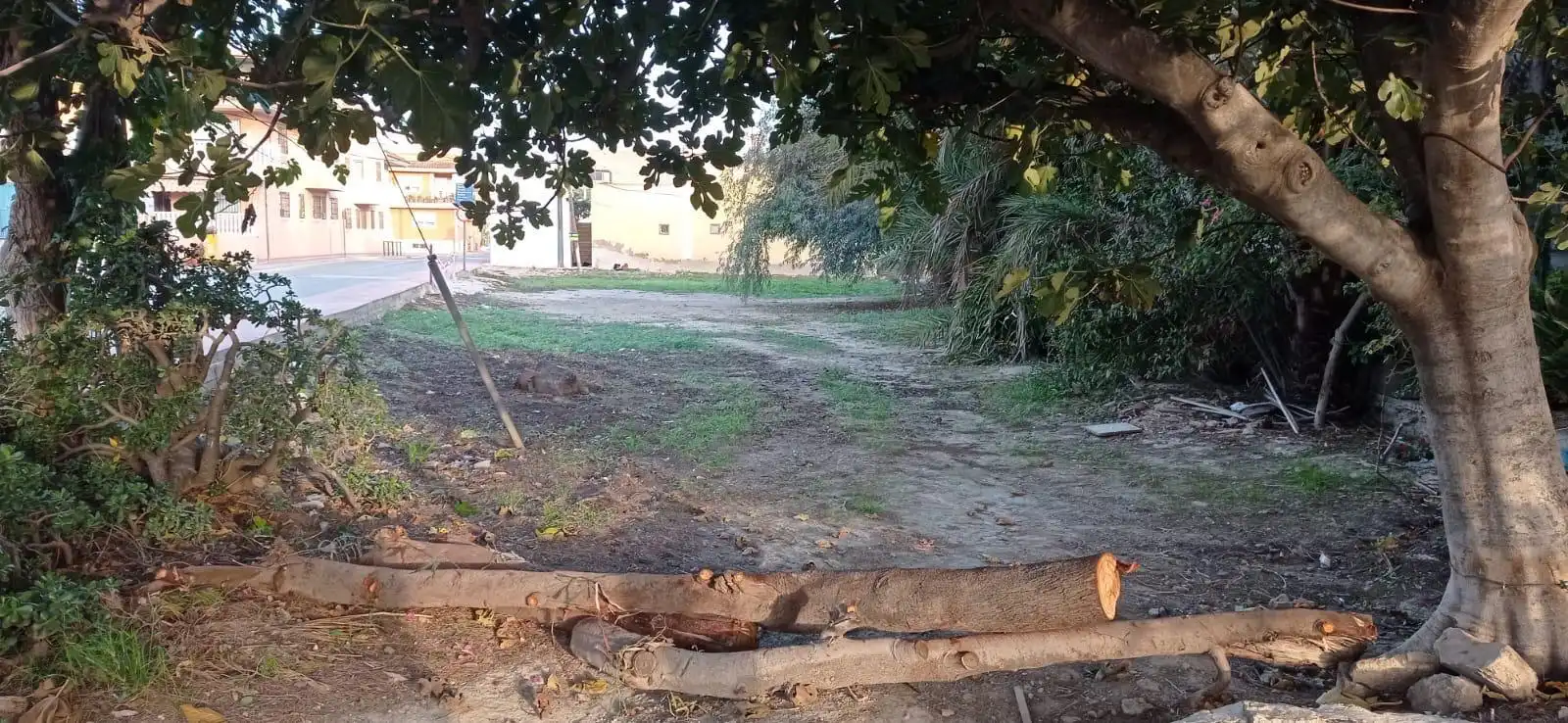 Terreny residencial en venda a Pedanías Este, imagen 6