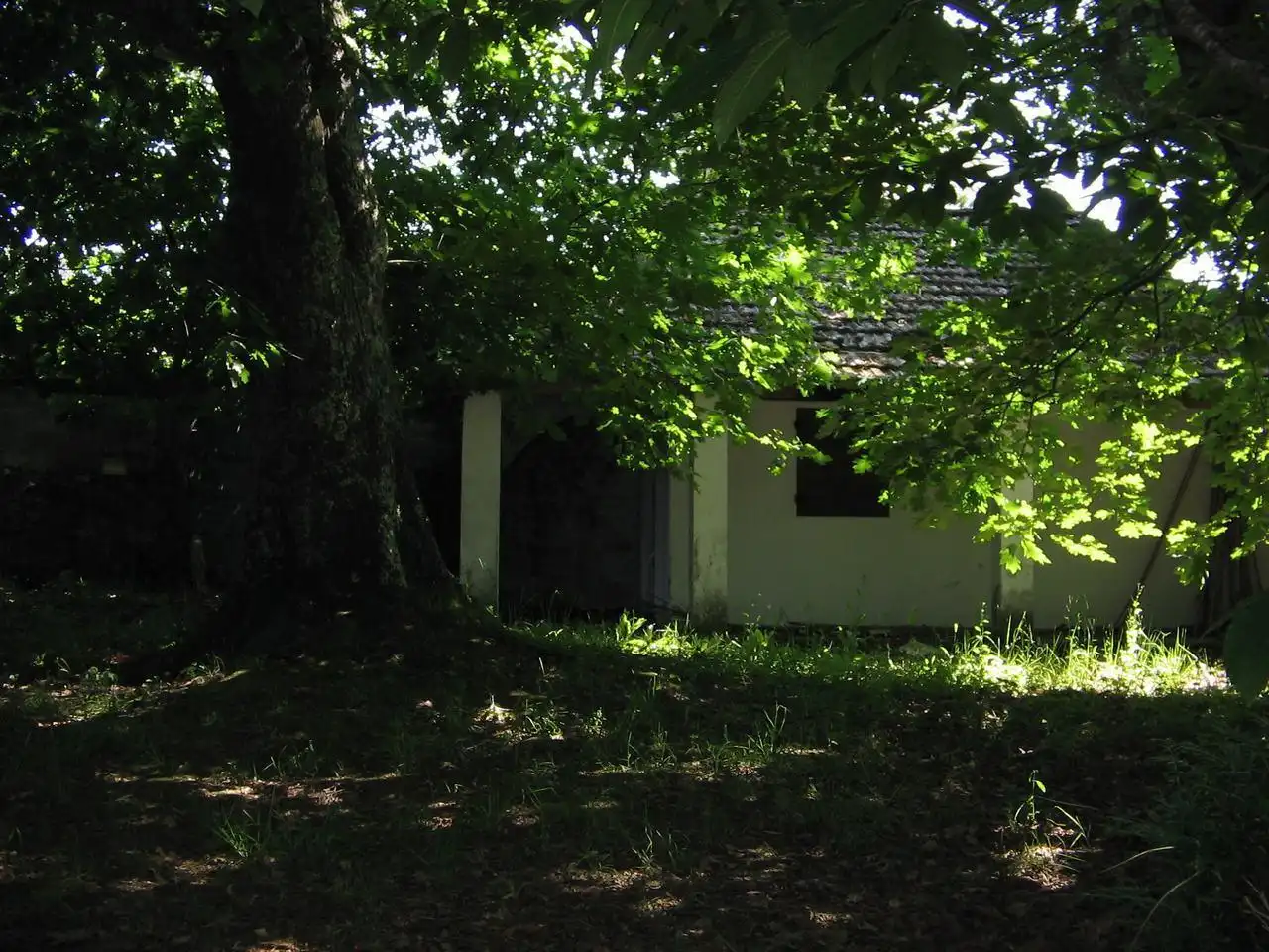 Vista exterior de Casa o xalet en venda en Vigo  amb Calefacció, Jardí privat i Terrassa