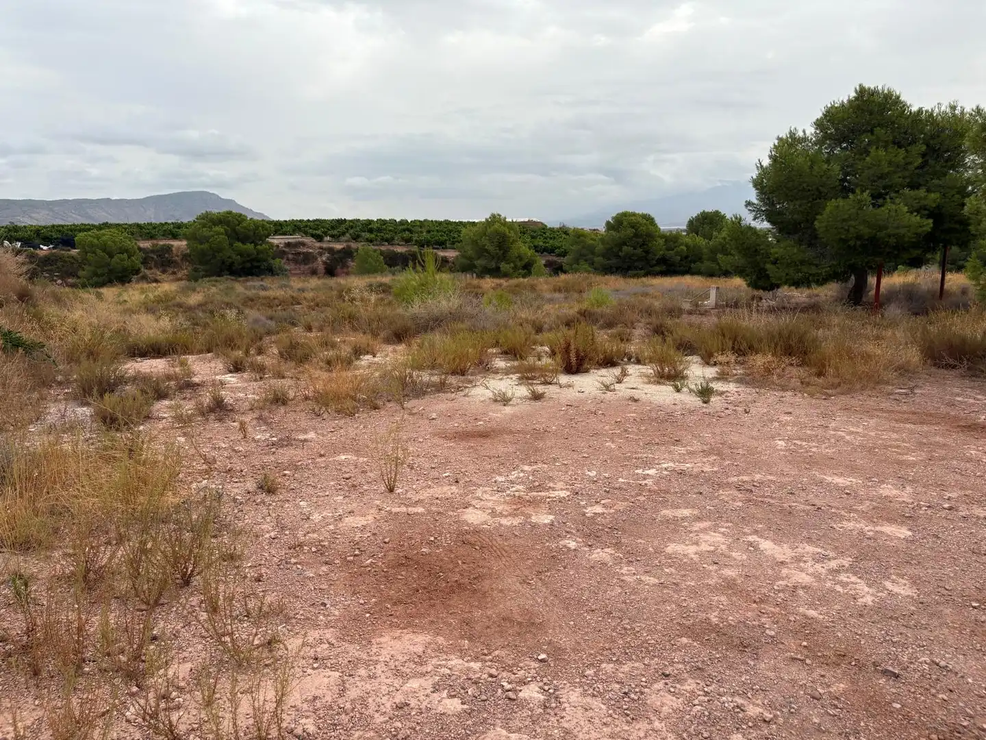 Terreni e lotti in vendita a Alhama de Murcia ciudad