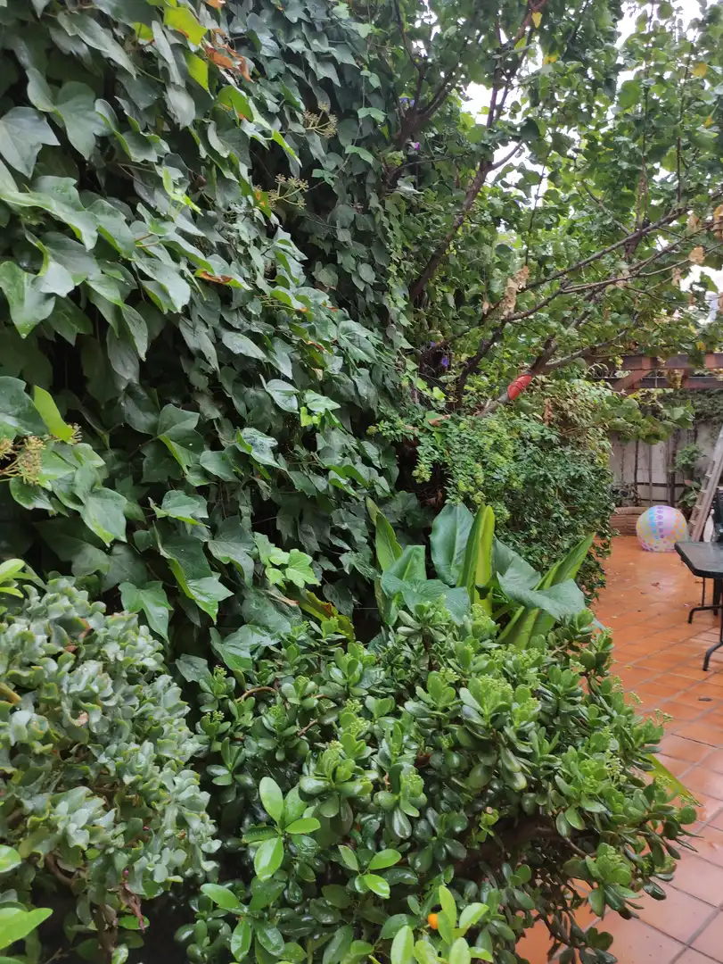 Garden of Detached homes for sale in Granada  with Air Conditioner, Heating and Storage room
