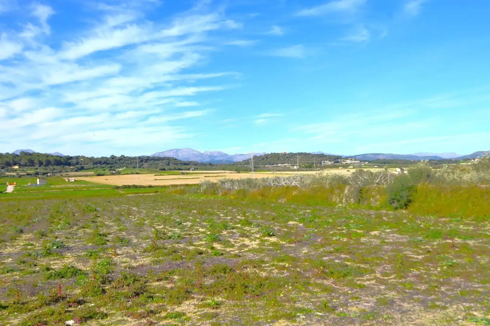Residential land for sale in Muro, imagen 3