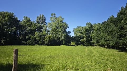 Foto 2 de Terreno en venta en Oruña, Piélagos
