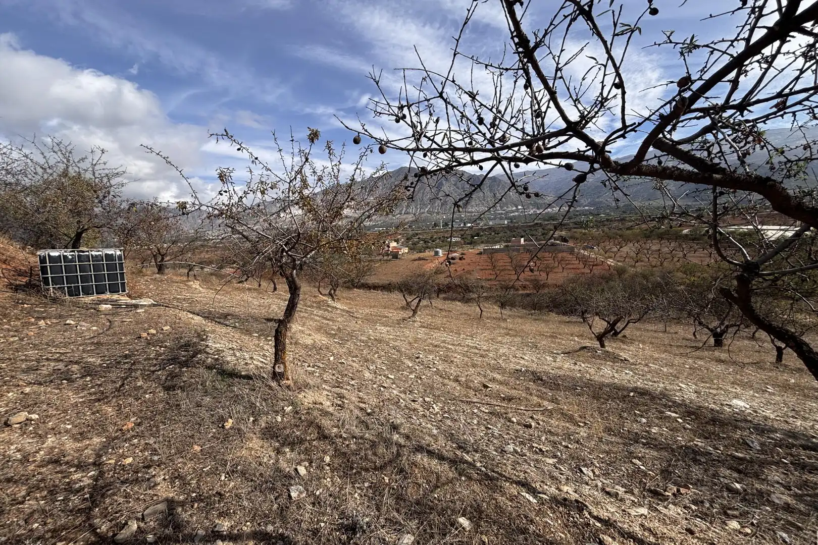 Rural land for sale in Nigüelas, imagen 9