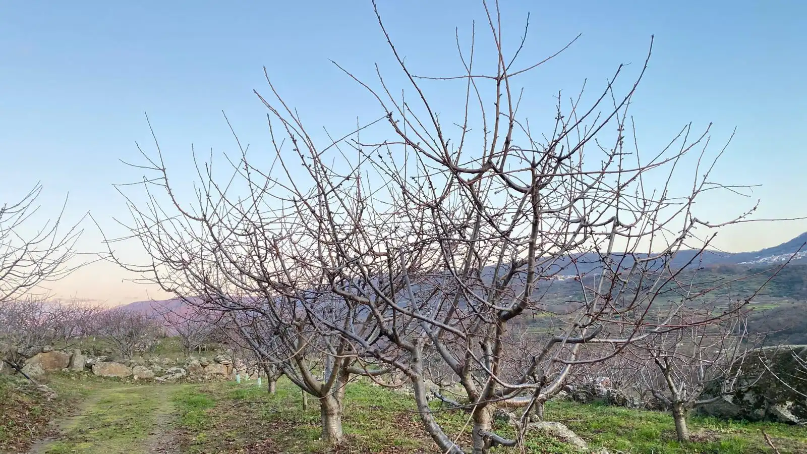 Terreni e lotti in vendita a El Torno, imagen 19