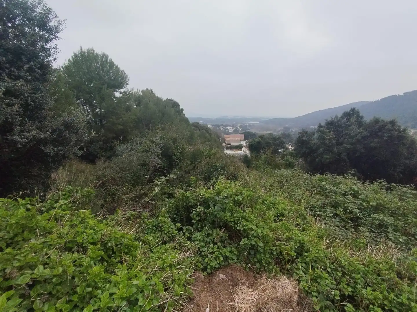 Terreno residencial en venta en Palafolls, imagen 3