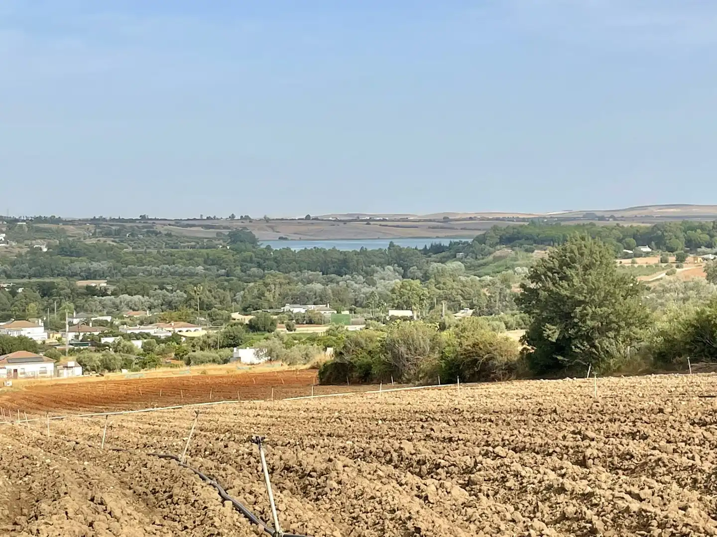 Terreni e lotti in vendita a Arcos de la Frontera, imagen 25
