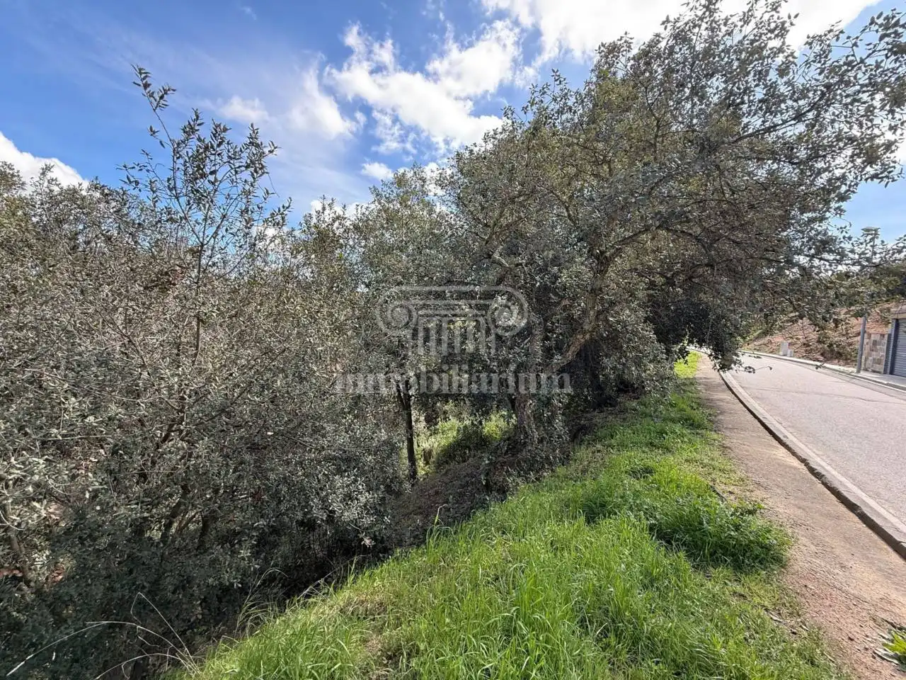 Terreno rústico en venta en Alella, imagen 15