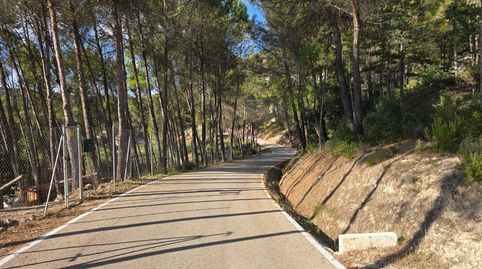 Hermoso terreno urbano Renera, immagine 4