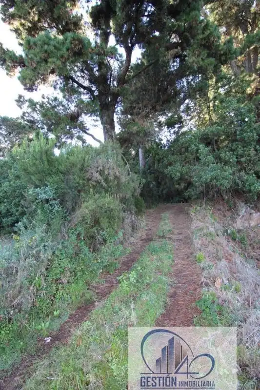 Finca rústica en venta en Los Realejos