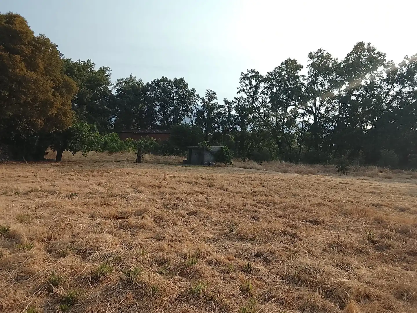 Terreni e lotti in vendita a Villanueva de la Vera, imagen 25