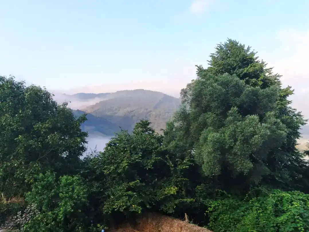 Vista exterior de Pis en venda en A Pontenova   amb Jardí privat, Traster i Moblat