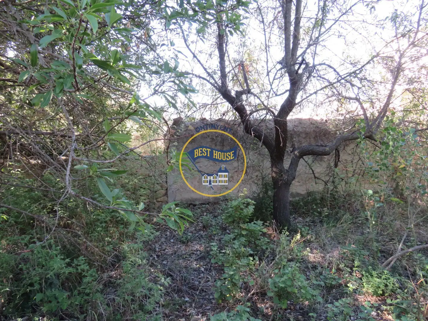Lands and plots for sale in Montesa, imagen 15