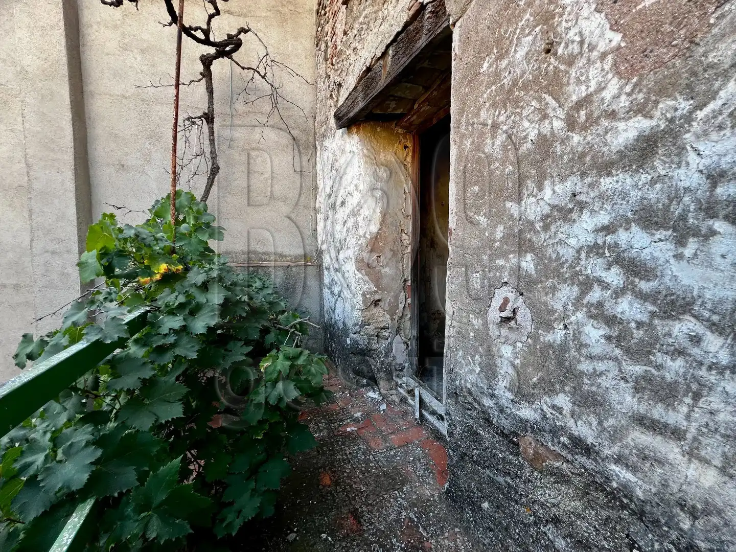 Vista exterior de Finca rústica en venda en Poboleda amb Terrassa