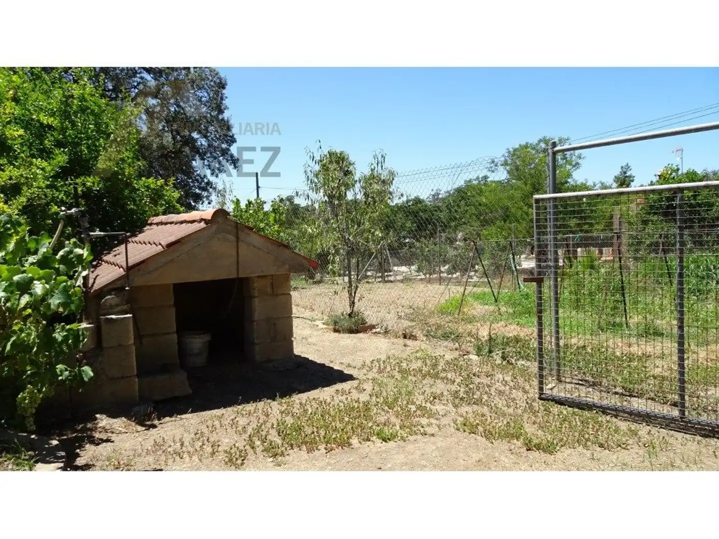 Jardí de Casa o xalet en venda en Castilblanco de los Arroyos