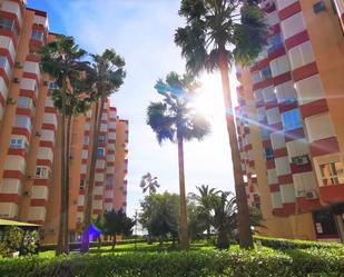 Vista exterior de Estudi en venda en Torrox amb Terrassa i Piscina comunitària