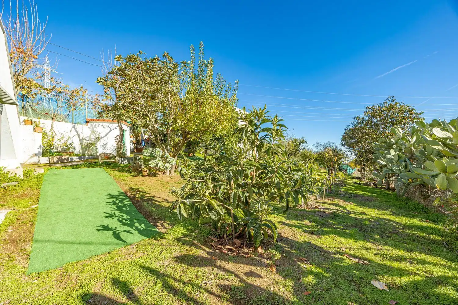 Jardí de Casa o xalet en venda en Vega de San Mateo amb Jardí privat i Terrassa