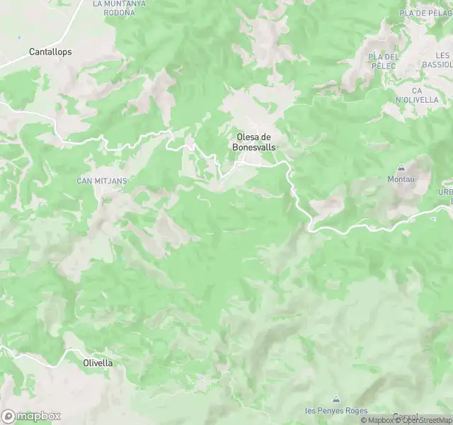 Pis en venda en Olesa de Bonesvalls