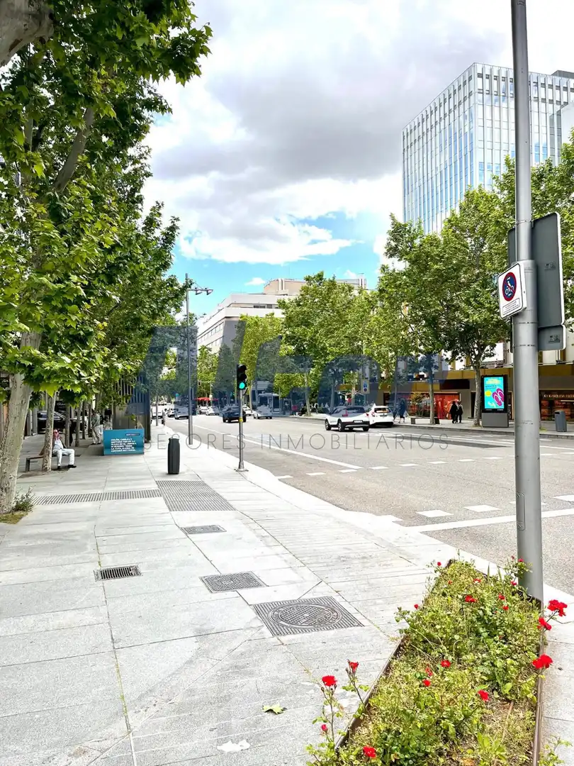 Pis amb ascensor de lloguer a serrano, imagen 16