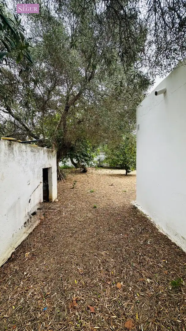 Detached house with garden for sale in Carretera de Barrio Nuevo, imagen 5