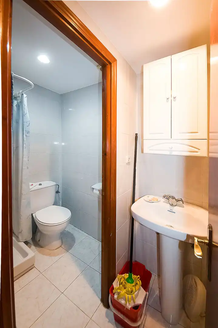 Baño de Local en venta en Alegia